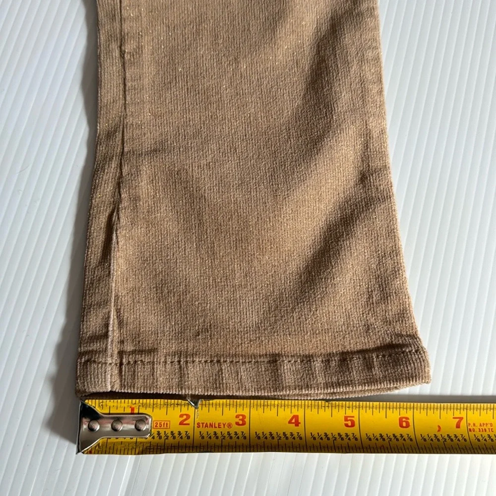The Children’s Place light tan with gold glitter corduroy pants. Girls size 3T